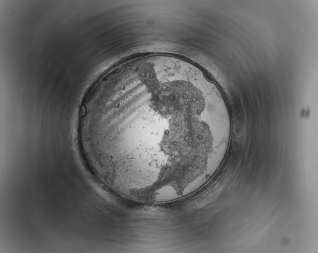 X0000102500437200808221758