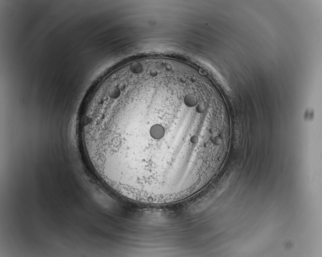 X0000102500439200808221758