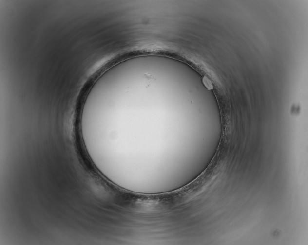 X0000102500440200808221758