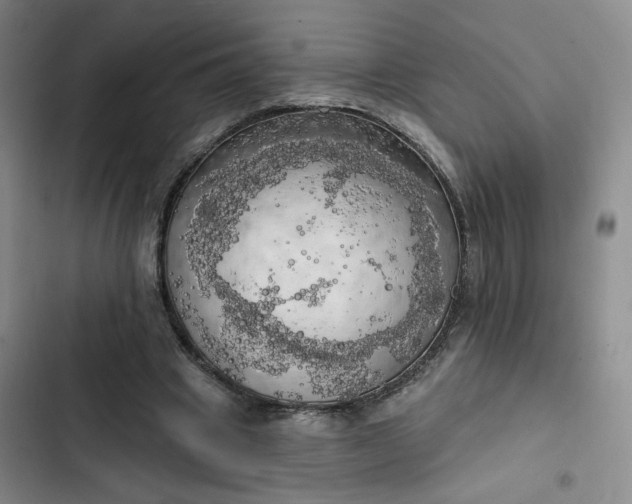 X0000102500441200808221758