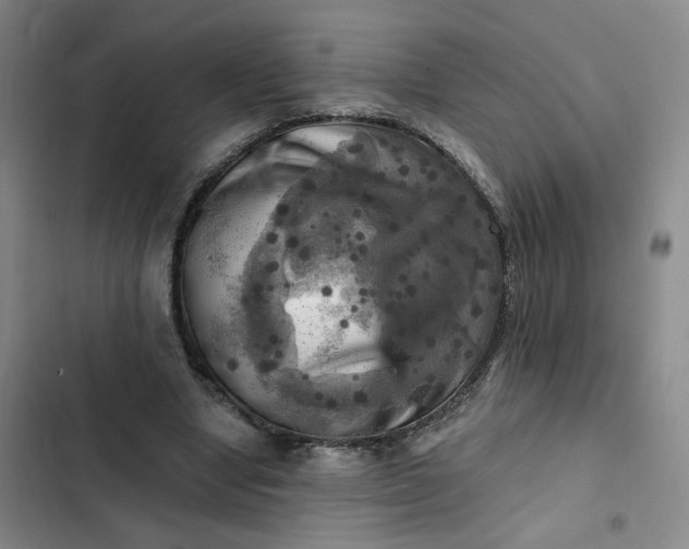 X0000102500442200808221758