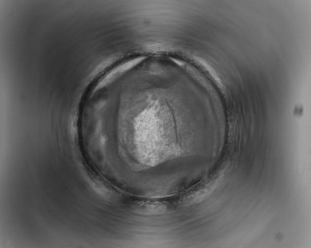 X0000102500443200808221758