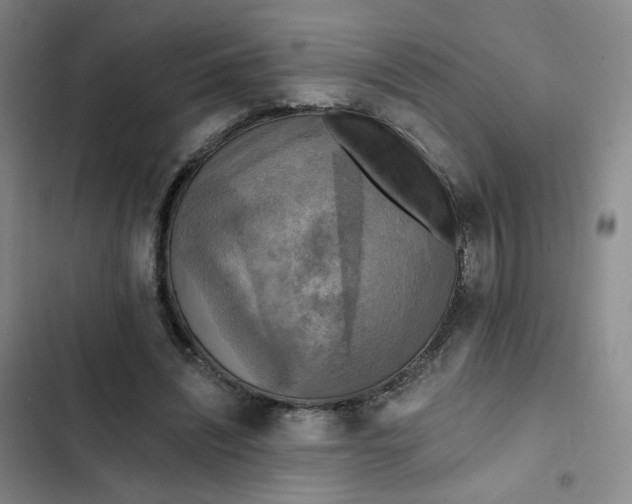 X0000102500444200808221758