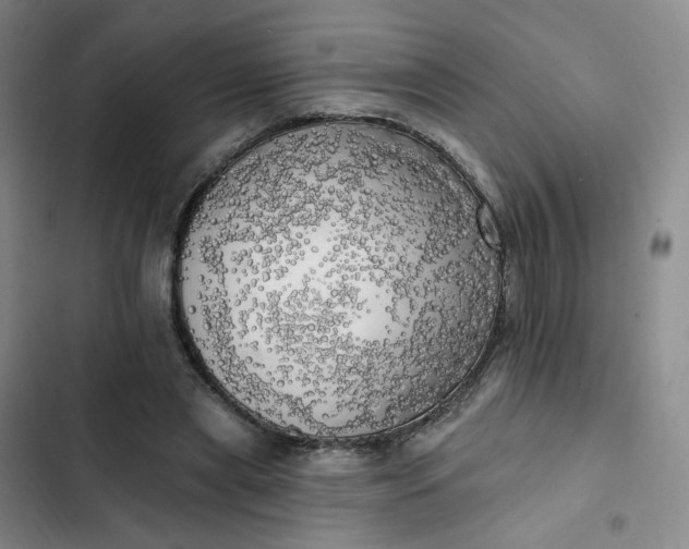 X0000102500445200808221758