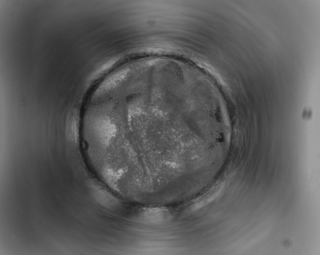 X0000102500446200808221758