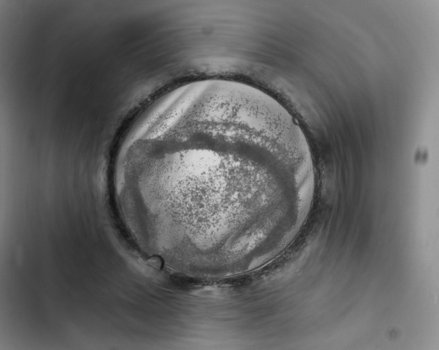 X0000102500447200808221758