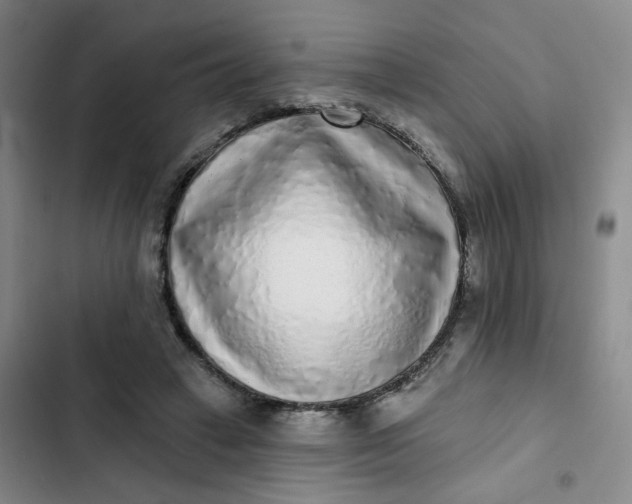 X0000102500449200808221758