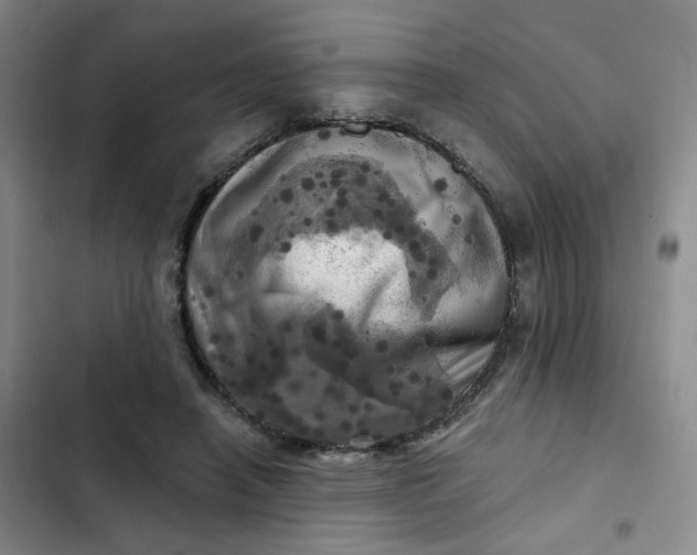 X0000102500450200808221758