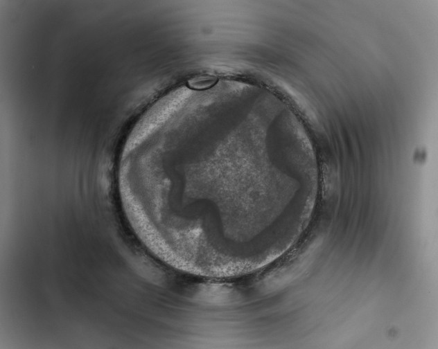 X0000102500451200808221758