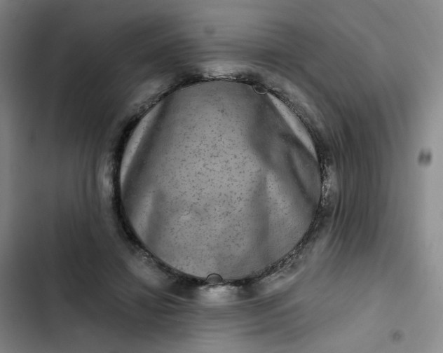 X0000102500452200808221758