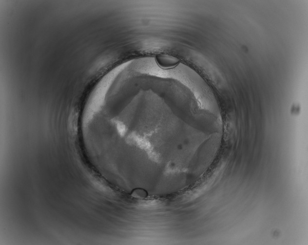 X0000102500454200808221758