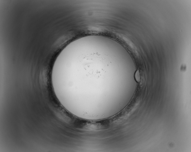 X0000102500455200808221758