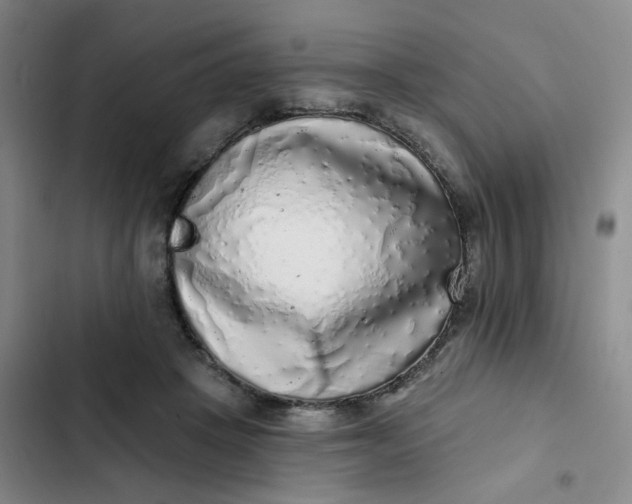 X0000102500457200808221758