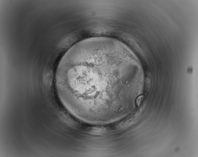 X0000102500458200808221758