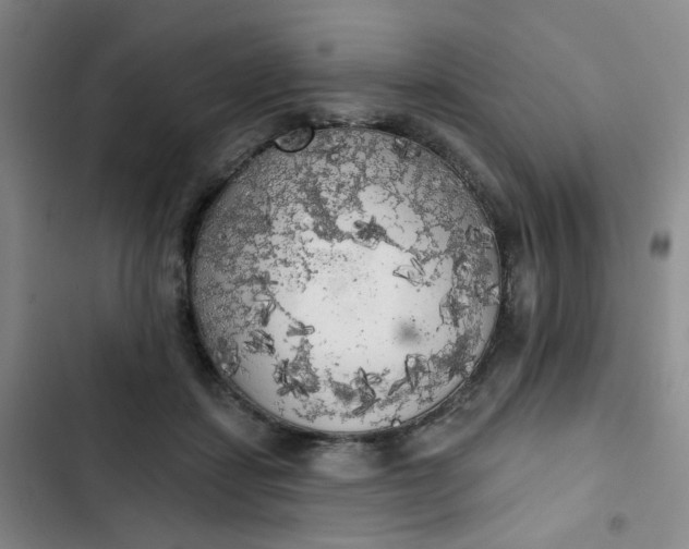 X0000102500459200808221758