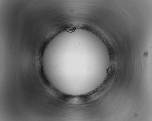 X0000102500460200808221758