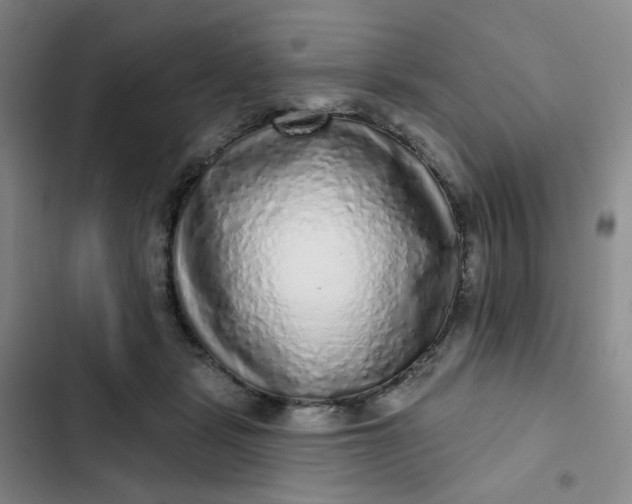 X0000102500461200808221758