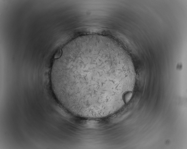 X0000102500462200808221758