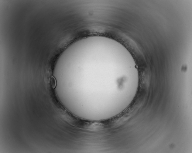 X0000102500463200808221758