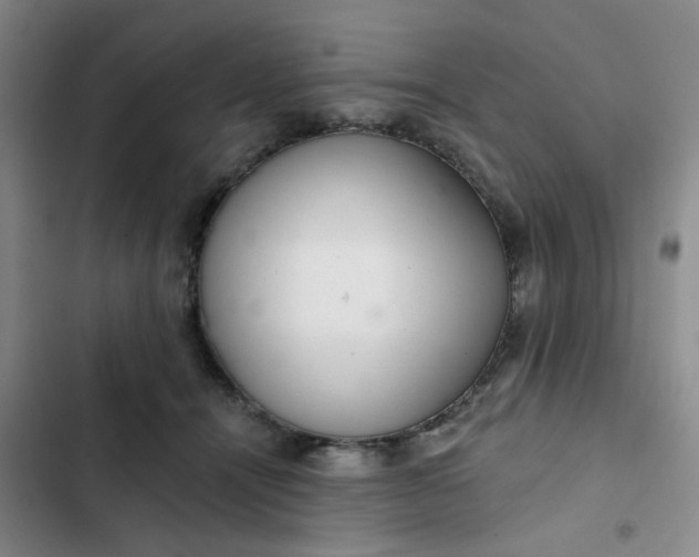 X0000102500464200808221758