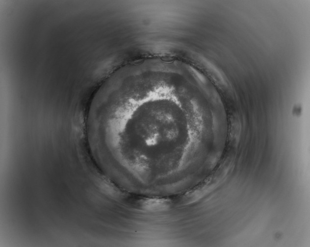 X0000102500465200808221758