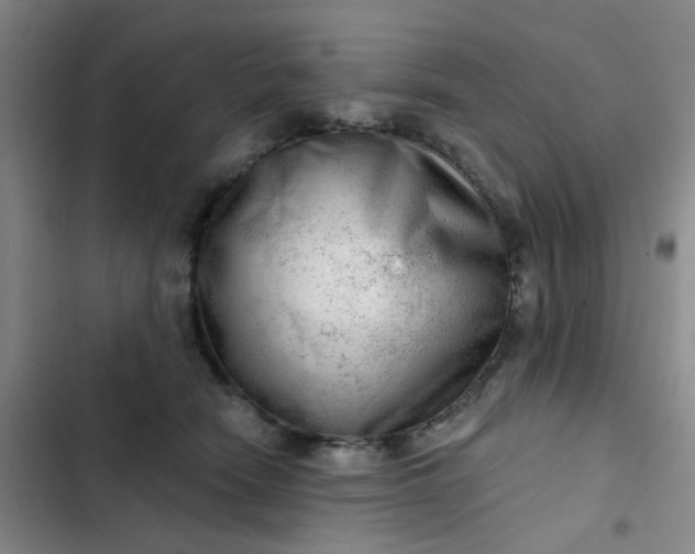 X0000102500466200808221758