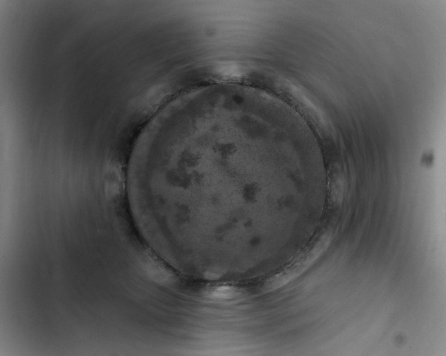 X0000102500467200808221758