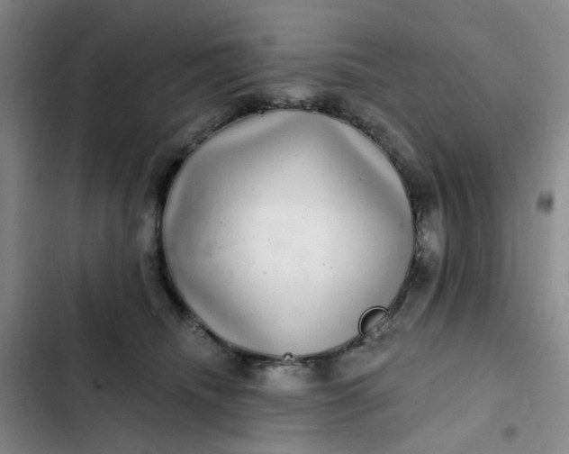 X0000102500468200808221758