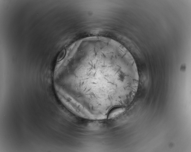 X0000102500470200808221758