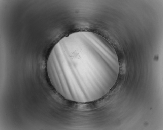 X0000102500472200808221758