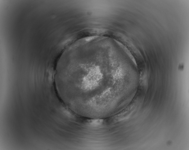 X0000102500474200808221759