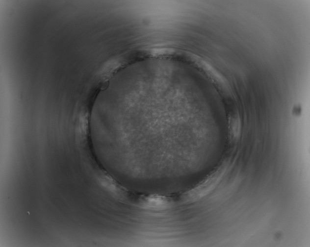 X0000102500475200808221759