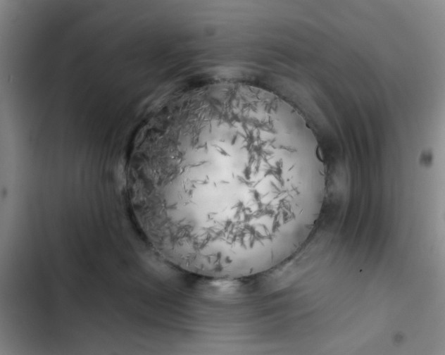 X0000102500478200808221759