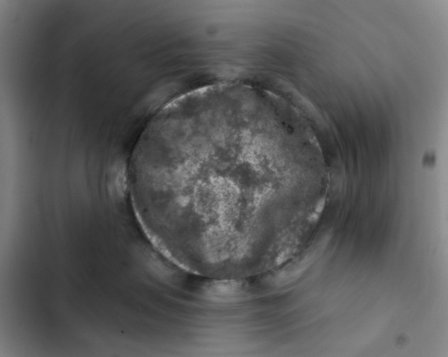 X0000102500479200808221759