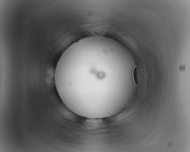 X0000102500480200808221759