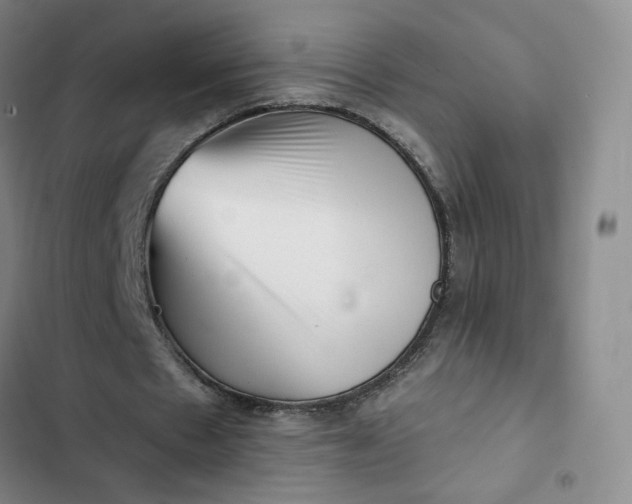 X0000102500481200808221758