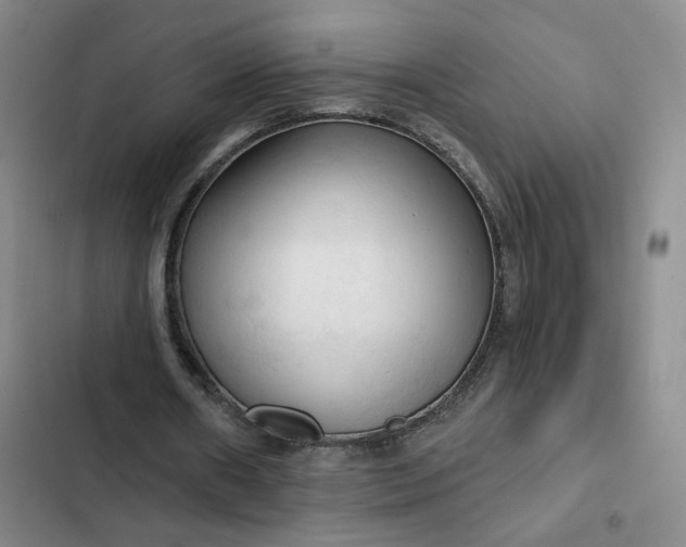 X0000102500482200808221758