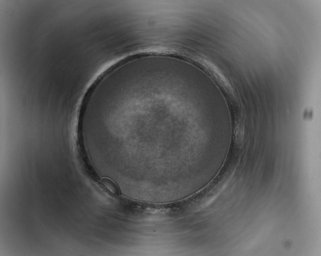 X0000102500484200808221758