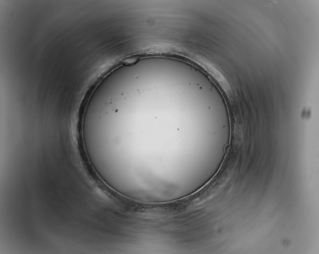 X0000102500485200808221758