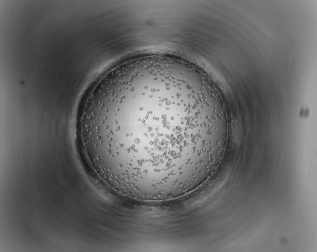 X0000102500486200808221758