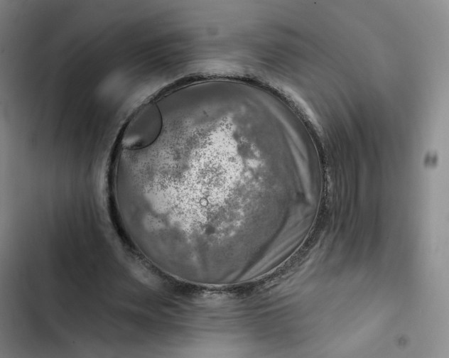 X0000102500487200808221758