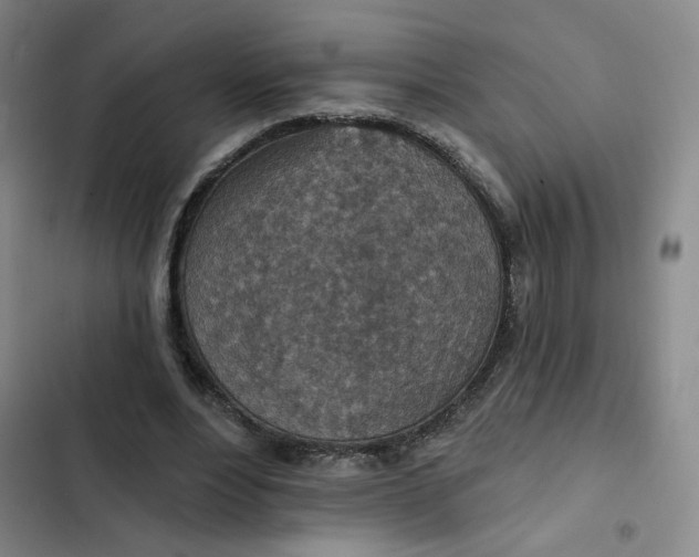 X0000102500488200808221758