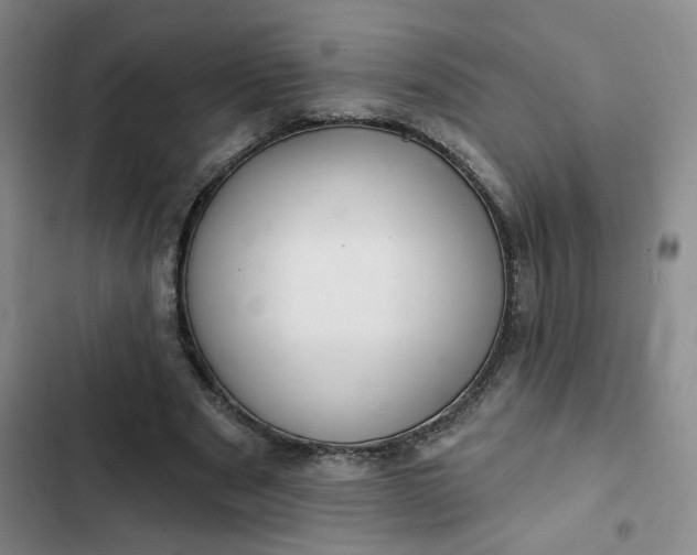 X0000102500489200808221758