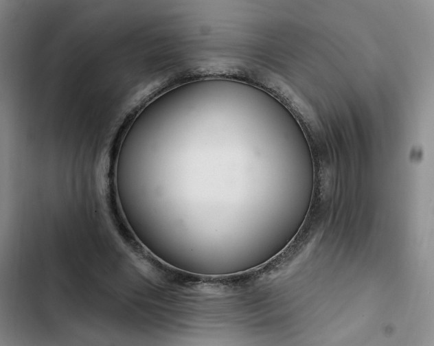 X0000102500490200808221758