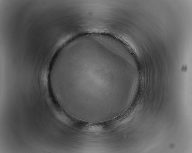 X0000102500491200808221758