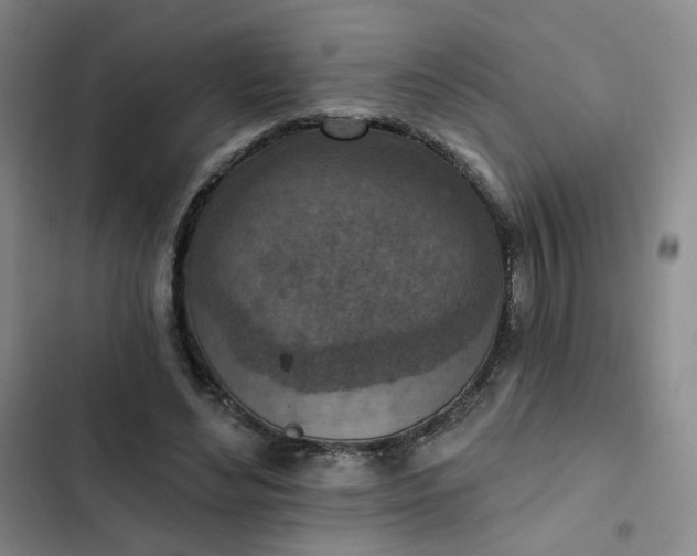 X0000102500492200808221758