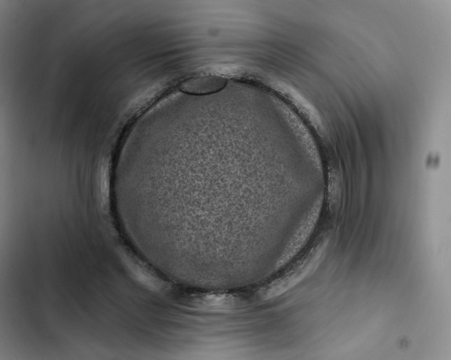 X0000102500493200808221758