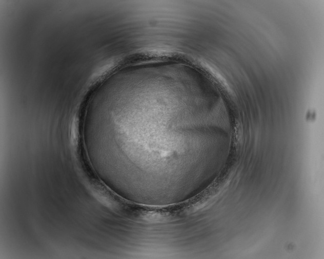 X0000102500494200808221758