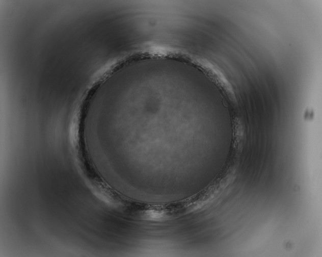 X0000102500496200808221758