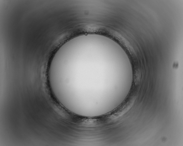 X0000102500497200808221758